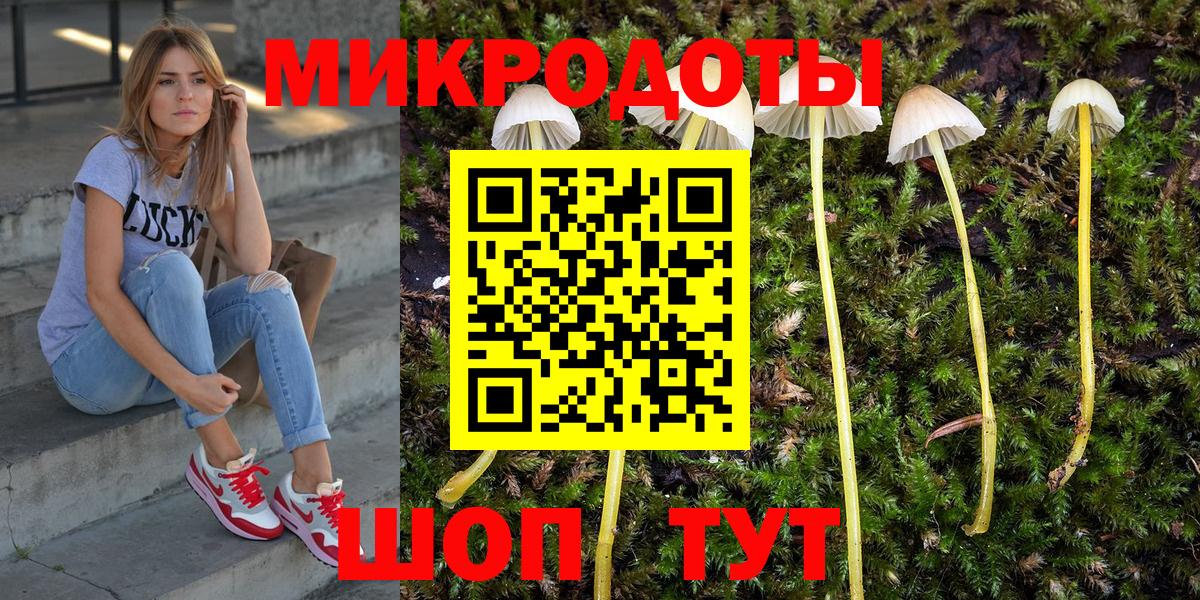 Галлюциногенные грибы мицелий  Галлюциногенные грибы Psilocybe  Петропавловск-Камчатский  Вход с VPN 